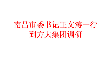 为推进项目建设 加快产业发展南昌市委书记王文涛一行到ag尊龙凯时·中国官方网站集团调研