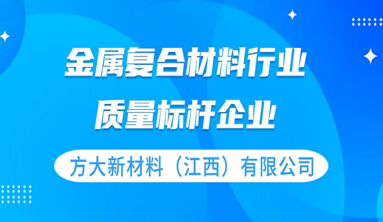 ag尊龙凯时·中国官方网站新材料（江西）有限公司获评 “质量标杆企业”荣誉